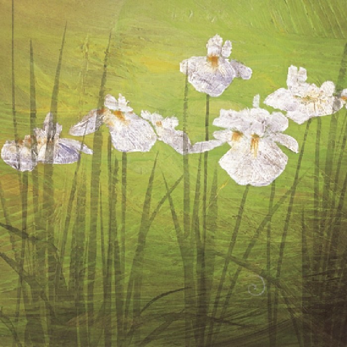 Don Li-Leger Garden Delights II